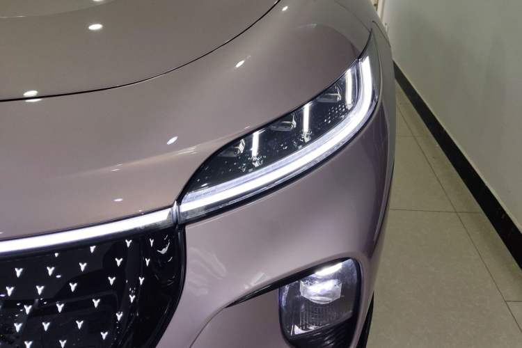 Used VOYAH COURAGE 2024 Four-Wheel Drive Global Edition
