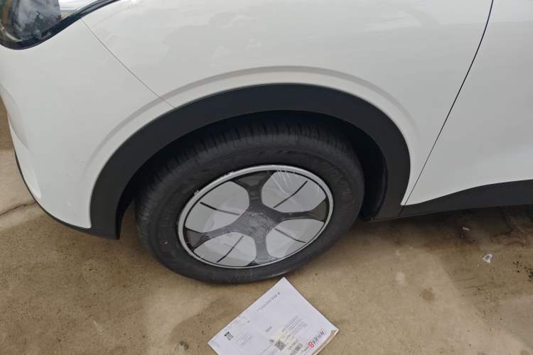 Used  Geome 2025 310km Youth Edition
