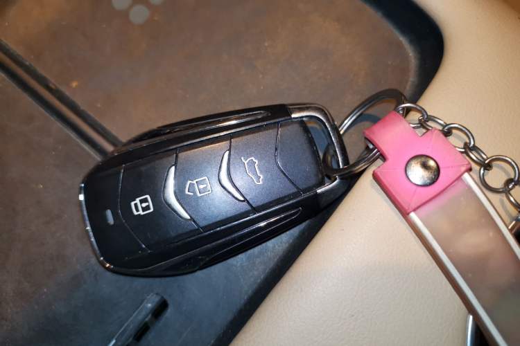 Used  E5 PLUS 2025 165 km Long-Range Travel Custom Edition 7 Seats
