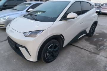 Used BYD Seagull 2024 Honor Edition 305km Freedom Version