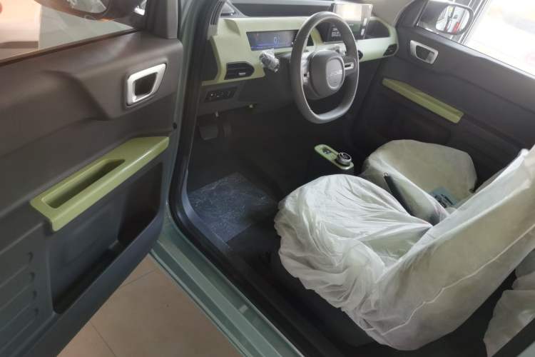 Used  Panda 2024 Panda Mini 200km Endurance Bear
