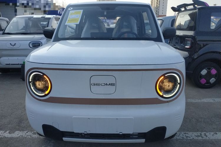 Used  Panda 2024 Panda Mini 200km Endurance Bear
