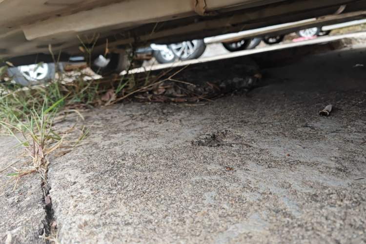 Used Buick Verano 2023 Pro Enjoyment Edition
