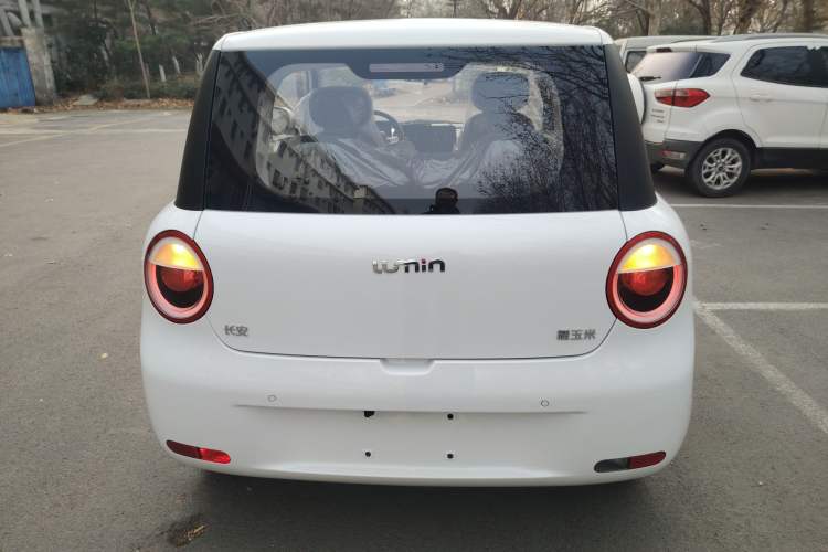 Used  Lumin 2024 130km Qingyue Version
