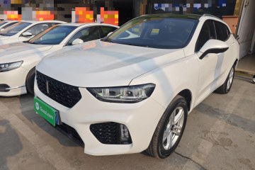 Used Wey VV5 2019 1.5T Two-Wheel Drive Color Pioneer