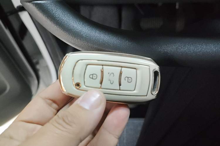 Used  Panda 2023 Panda Mini 200km Dynamic Bear