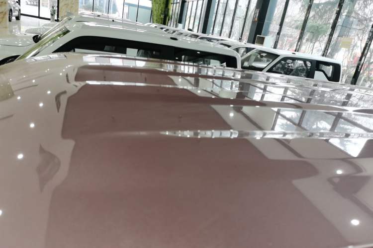 Used  Panda 2024 Panda Mini 200km Endurance Bear
