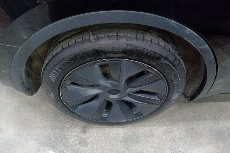 Used Tesla Model Y 2023 Rear-Wheel-Drive Version
