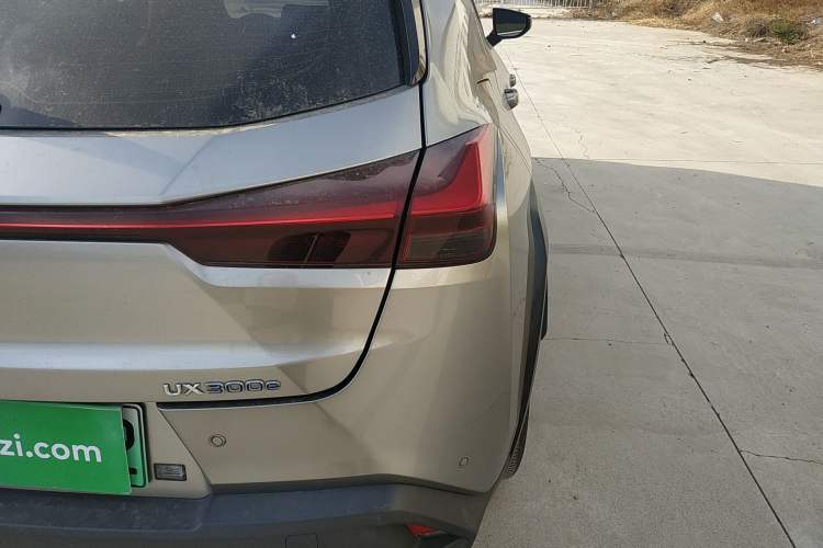 Used Lexus UX New Energy 2020 300e Pure·Joy Edition