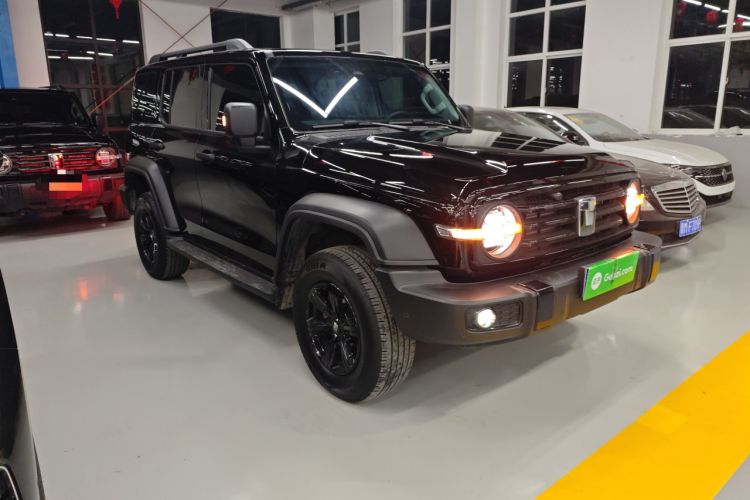 Used Tank 300 2025 2.0T Conqueror
