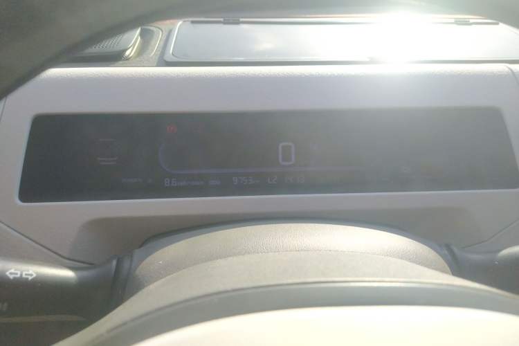 Used  Panda 2024 200km Panda Rider