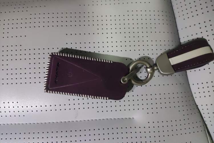 Used  07 2024 Max Extended-Range Edition