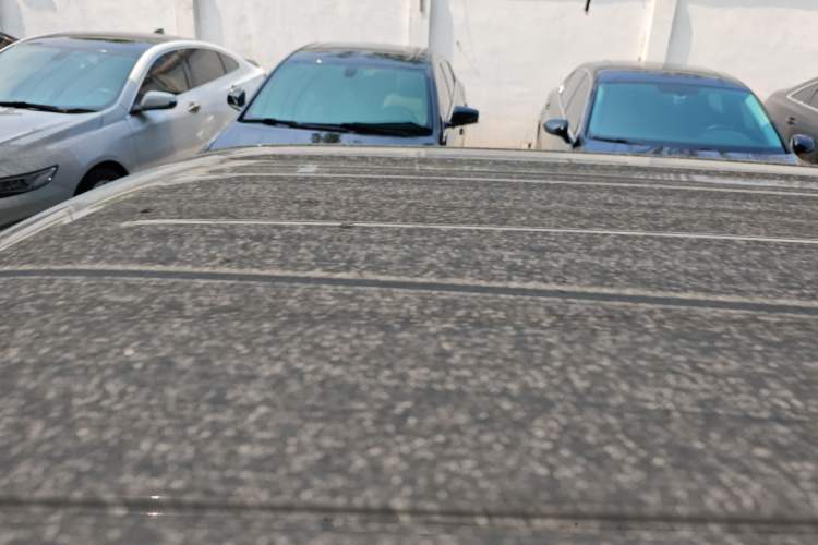 Used  Panda 2024 Panda Mini 200km Endurance Bear
