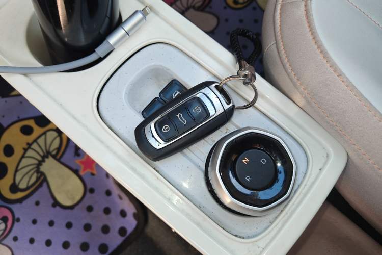 Used  Panda 2023 Panda Mini 200km Endurance Bear
