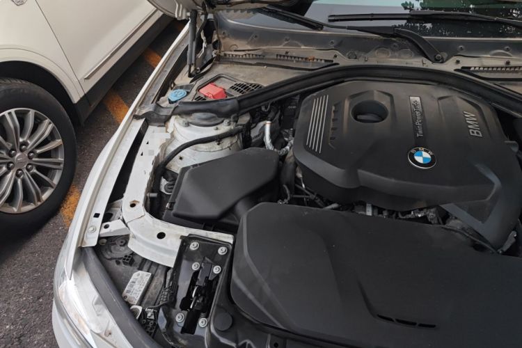 Used BMW 3 Series 2017 320Li Luxury Design Package
