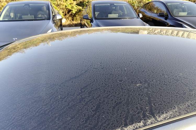 Used BYD Dolphin 2021 405 km Fashion Edition
