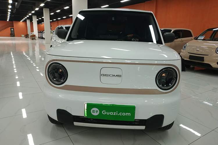 Used  Panda 2023 Panda Mini 200km Endurance Bear
