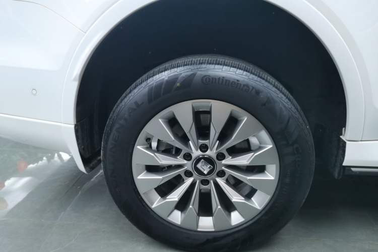 Used Tank 500 New Energy 2024 Hi4-T
