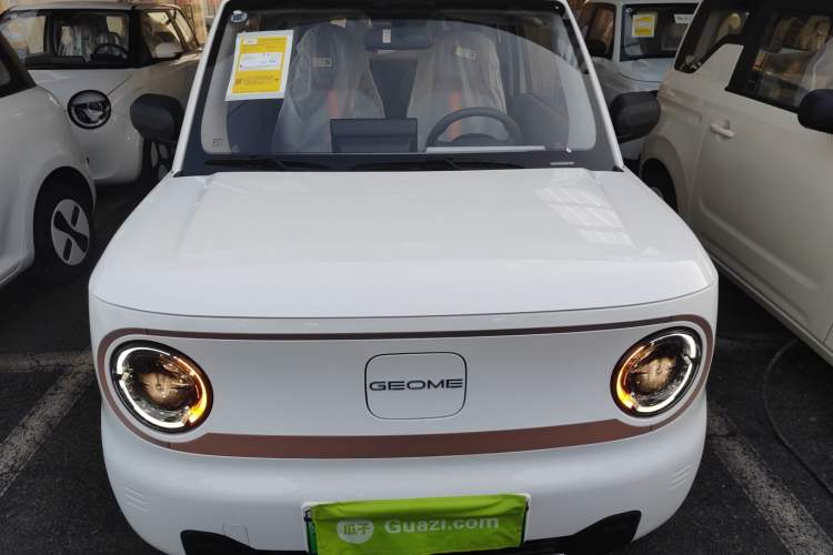 Used  Panda 2024 Panda Mini 200km Endurance Bear
