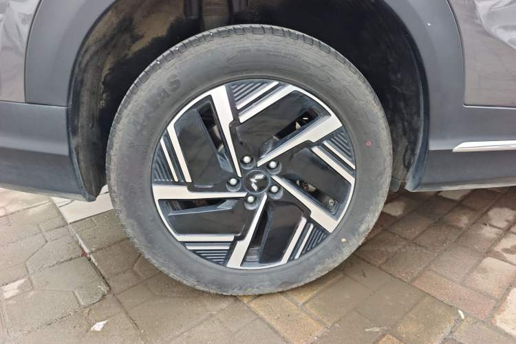 Used Wuling Xingguang S 2024 130 km Flagship Version
