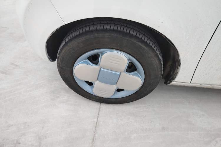 Used  Panda 2023 Panda Mini 200km Endurance Bear
