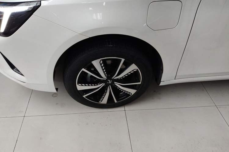 Used Rising ER6 2021 New Dynamic Edition 620km Smart Enjoyment Version
