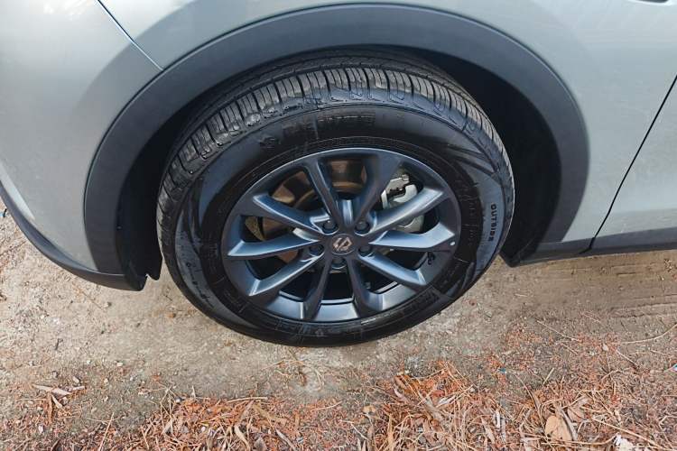 Used Leapmotor C11 2023 Pure Electric 500 Comfort Edition
