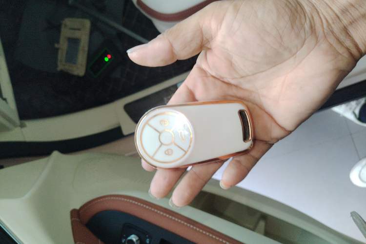 Used ORA Good Cat 2023 401 km Standard Range Prestige Version Lithium Iron Phosphate