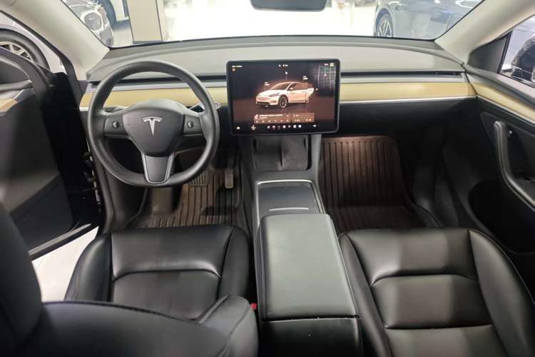 Used Tesla Model Y 2021 Standard Range Rear-Wheel Drive Version
