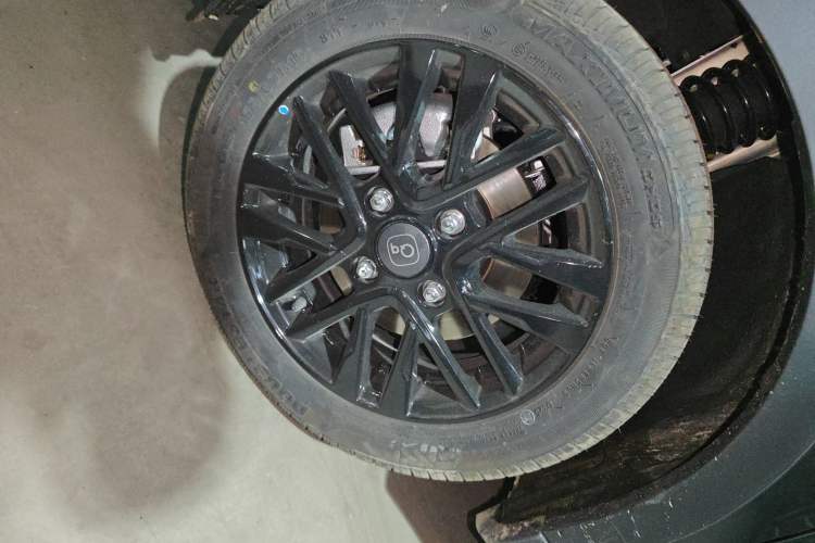 Used Chery Little Ant 2024 Facelifted 321km Beloved Edition