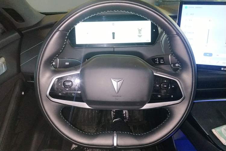 Used  SL03 2023 515MAX Pure Electric Version