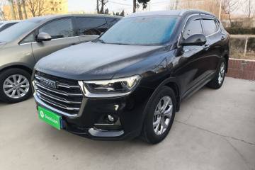 Used Haval H6 2021 National Trend Edition 1.5T Automatic Champion Version
