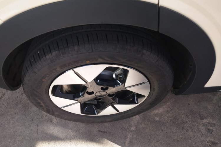 Used  Geome 2025 310km Dream Edition
