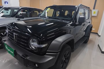 Used Tank 300 2025 2.0T Conqueror