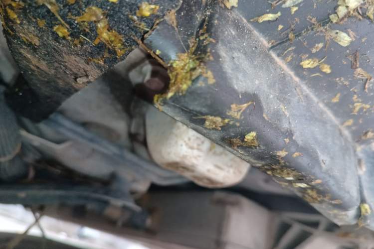 Used BYD Qin New Energy 2018 Qin EV450 Smart Connect Prestige Model
