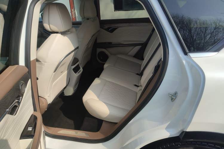 Used VOYAH FREE 2021 Four-Wheel Drive Standard All-Electric Exclusive Luxury Package
