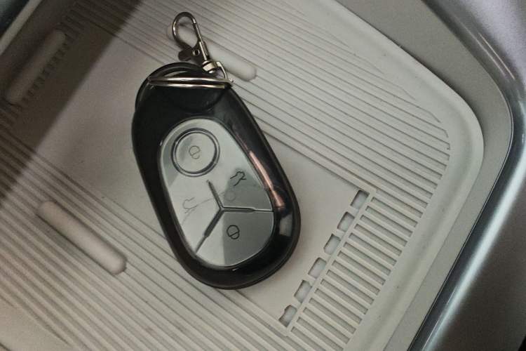 Used  Geome 2025 310km Youth Edition