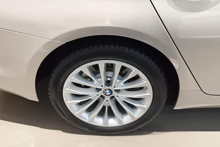 Used BMW 5 Series 2020 530Li Luxury Edition Premium Package