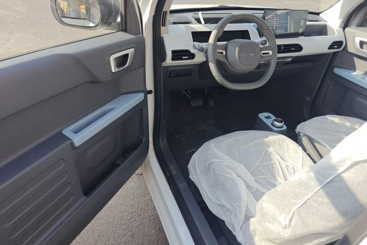 Used  Panda 2024 Panda Mini 200km Endurance Bear