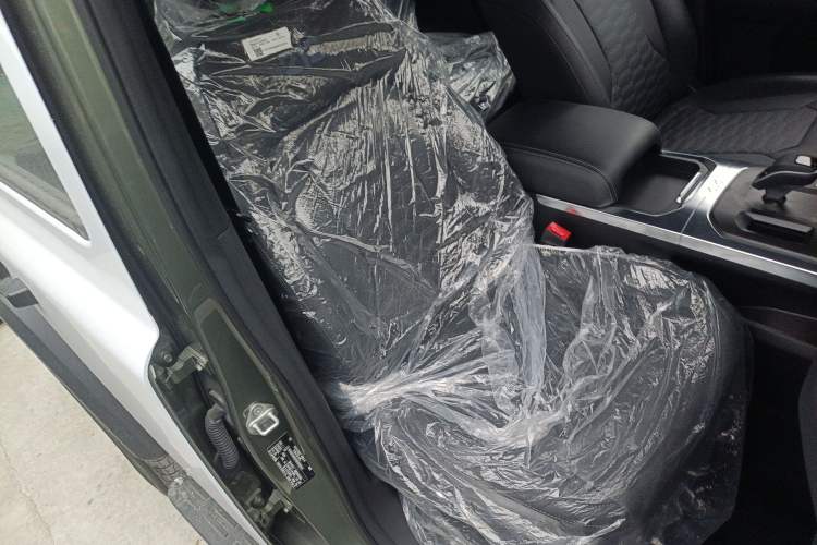 Used  T01 2024 2.0T Explorer
