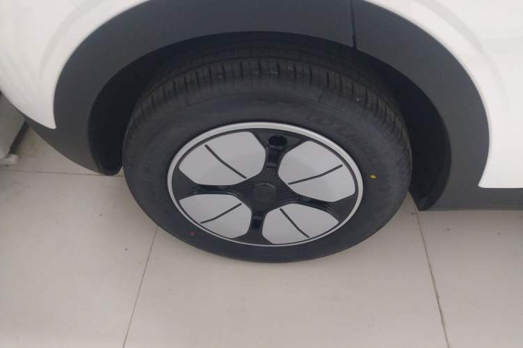 Used  Geome 2025 310km Youth Edition
