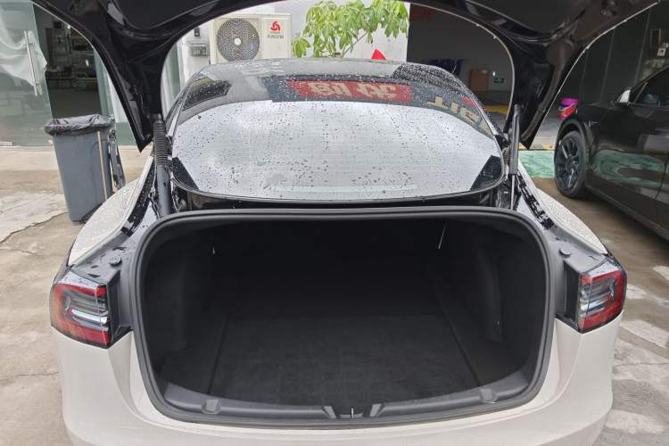 Used Tesla Model 3 2021 Performance High-Performance All-Wheel-Drive Version
