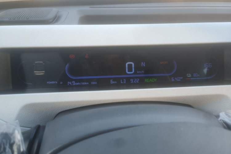 Used  Panda 2024 Panda Mini 200km Endurance Bear