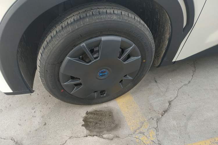 Used BYD Seagull 2025 Intelligent Driving Version 305 km Dynamic Edition
