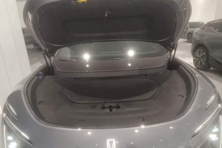 Used  07 2024 Max Extended-Range Edition
