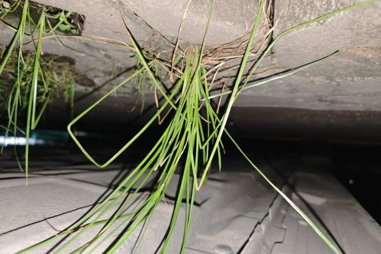 Used Mazda Mazda 3 Axela 2021 2.0L Automatic Zhiya Edition
