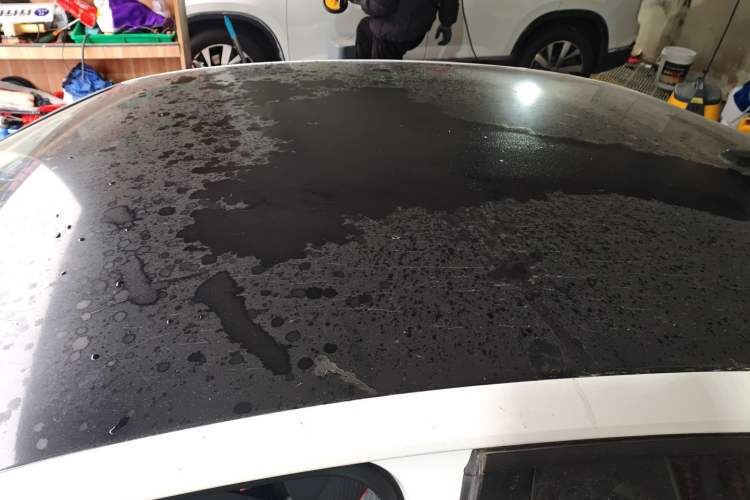 Used Volkswagen Lamando 2021 230TSI DSG Fashion Edition