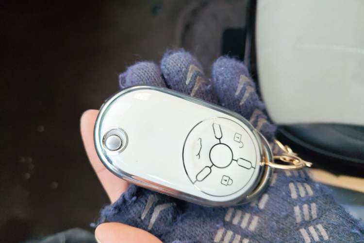 Used Bestune Pony 2025 222km Range Agile Horse