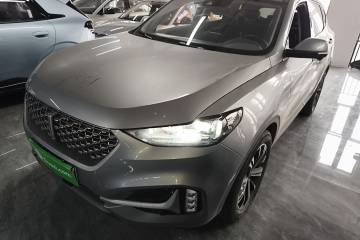 Used Wey VV6 2021 2.0T Two-Wheel Drive Smart Protection+