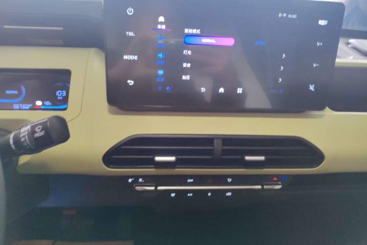 Used  Panda 2024 Panda Mini 200km Endurance Bear